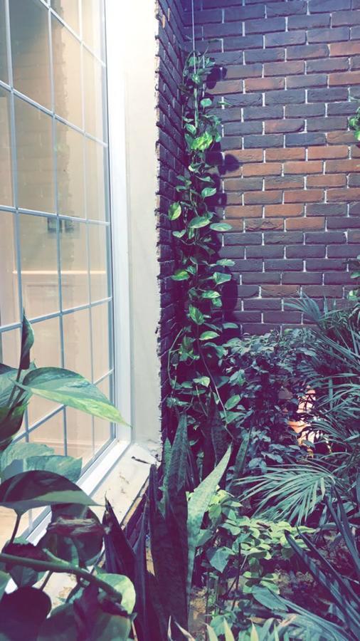 منتجع و شاليهات طوبى للعائلات Hotel Buraidah Exterior photo